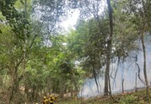 Controlan incendio forestal en Bonao y despliega brigadas ante nueva incidencia en Sierra de Bahoruco