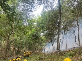 Controlan incendio forestal en Bonao y despliega brigadas ante nueva incidencia en Sierra de Bahoruco