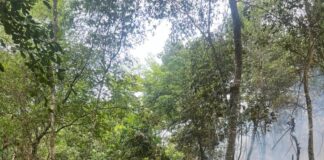 Controlan incendio forestal en Bonao y despliega brigadas ante nueva incidencia en Sierra de Bahoruco