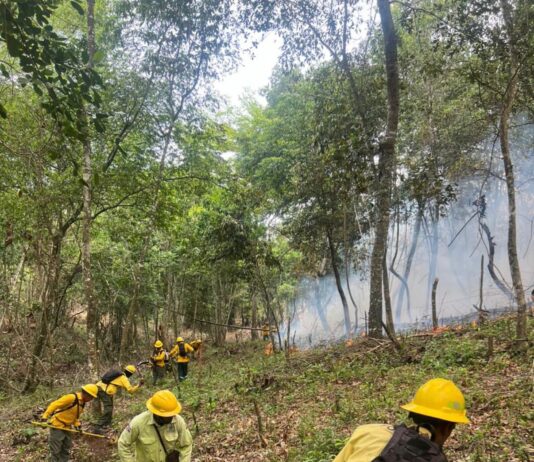 Controlan incendio forestal en Bonao y despliega brigadas ante nueva incidencia en Sierra de Bahoruco