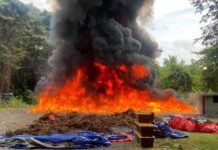 El Inacif destruye más de 33 toneladas de drogas en primer semestre del año