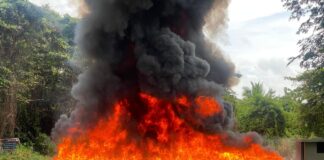 El Inacif destruye más de 33 toneladas de drogas en primer semestre del año