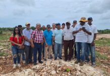 CDP y propietarios de terrenos denuncian invasión de propiedades en Boca Chica