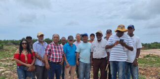 CDP y propietarios de terrenos denuncian invasión de propiedades en Boca Chica