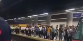 Usuaria desciende a la vía y provoca suspensión parcial en Línea 2 del Metro