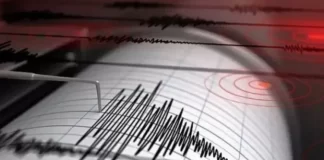 Nuevo sismo de magnitud 4.7 sacude Venezuela mientras continúan las labores de emergencia