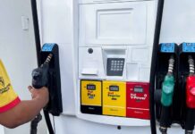 Congelan el precio de las gasolinas, los gasoil y el GLP