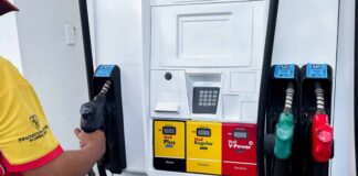 Congelan el precio de las gasolinas, los gasoil y el GLP