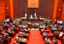 Senado aprueba en segunda lectura reforma a la Ley Orgánica de la Policía Nacional