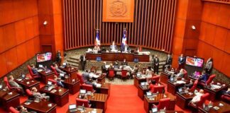 Senado aprueba en segunda lectura reforma a la Ley Orgánica de la Policía Nacional