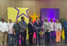 PLD advierte que el Código Penal mantiene riesgos para la libertad de expresión y pide extender debate