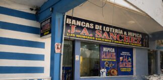 ¿Permisos sin límites? Crece preocupación por proliferación de agencias hípicas y falta de control