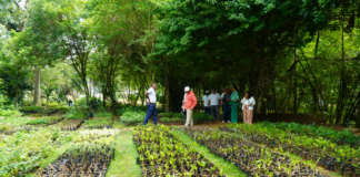 Digecac realizará Primer Festival de Plantas 2026