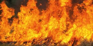 Cinco miembros de una familia mueren en incendio de una vivienda en Mao; tres eran niñas