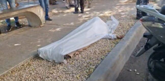 Hombre muere de un infarto frente al Palacio de Justicia de San Juan mientras familiares discutían una herencia