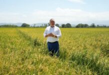 Video confirma postura del ministro de Agricultura sobre polémica por supuesta dispensa al sector arrocero